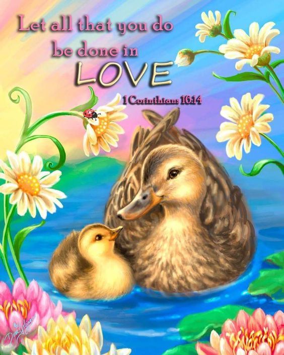 Let All That You Do Be Done In Love Pictures, Photos, and Images for