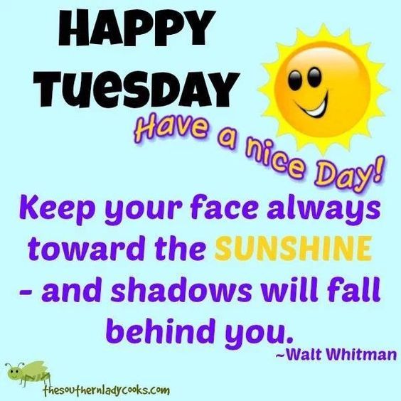 Keep Your Face Always Toward The Sunshine, Happy Tuesday Pictures