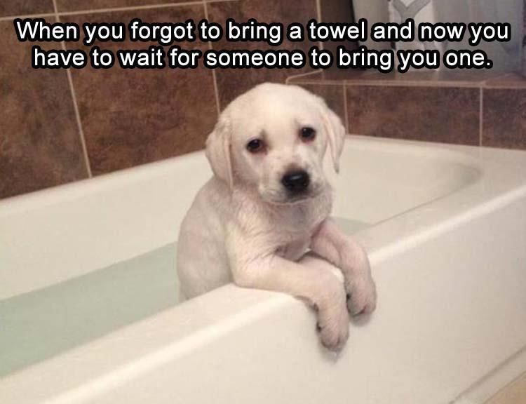 When You To Bring A Towel And Now You Have To Wait For Someone