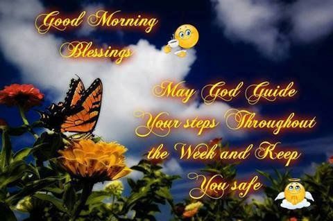 May God Guide Your Steps Quotes May God Guide Your Steps Throughout The Week Pictures, Photos, And Images  For Facebook, Tumblr, Pinterest, And Twitter