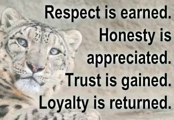 respect respect