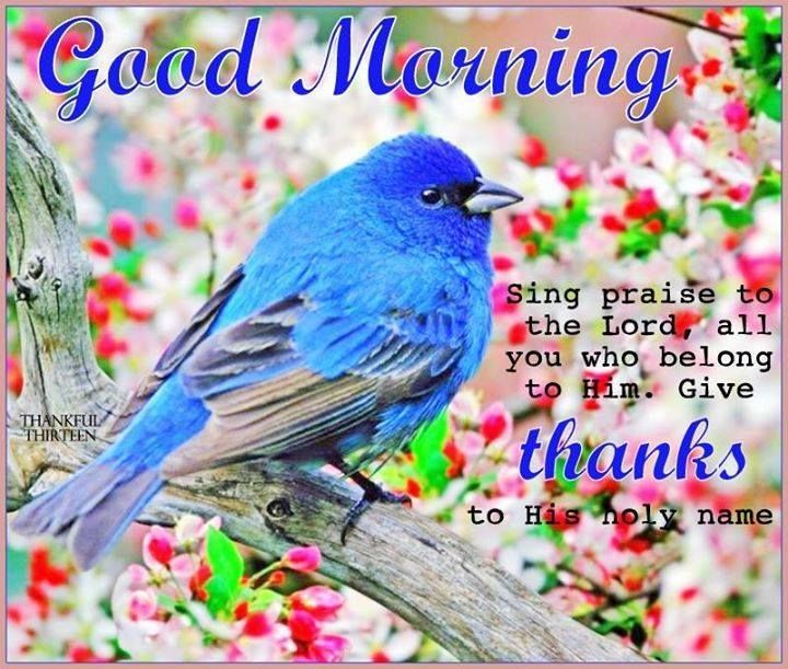 Sing Praise To The Lord, Good Morning Pictures, Photos, and Images for
