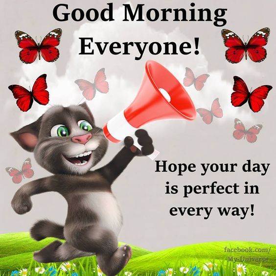 I Hope Your Day Hope Your Day Is Perfect In Every Way! Good Morning Everyone! Pictures,  Photos, And Images For Facebook, Tumblr, Pinterest, And Twitter