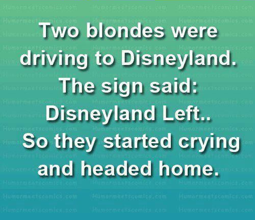 Disney land left