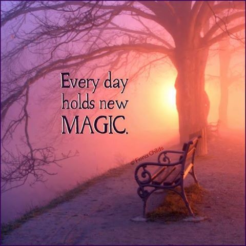 Everyday holds new magic Everyday holds new magic