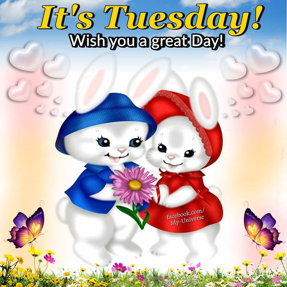 Wish You A Great Day, Its Tuesday Pictures, Photos, and Images for