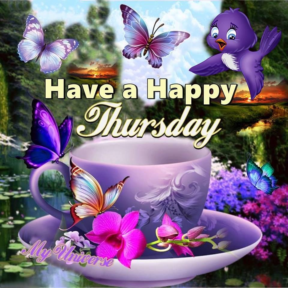 Birdy Happy Thursday Pictures, Photos, and Images for Facebook, Tumblr