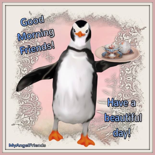 Penguin Good Morning Friends Pictures, Photos, and Images for Facebook