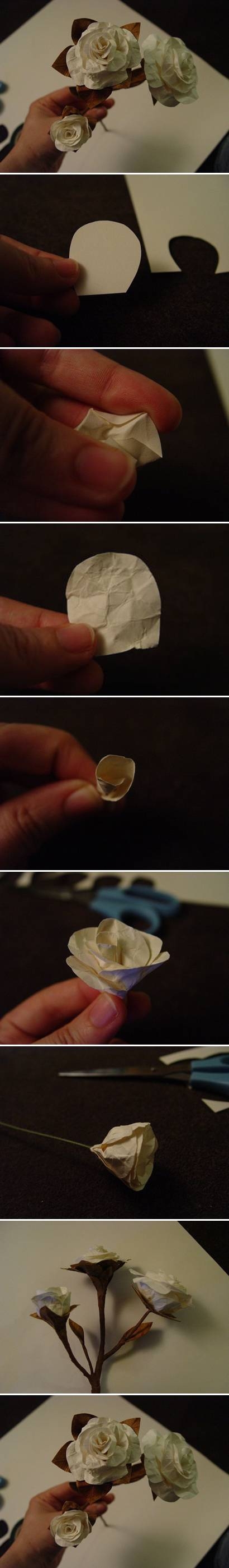 DIY Easy Paper White Rose DIY Easy Paper White Rose