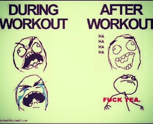 During and after workout During and after workout