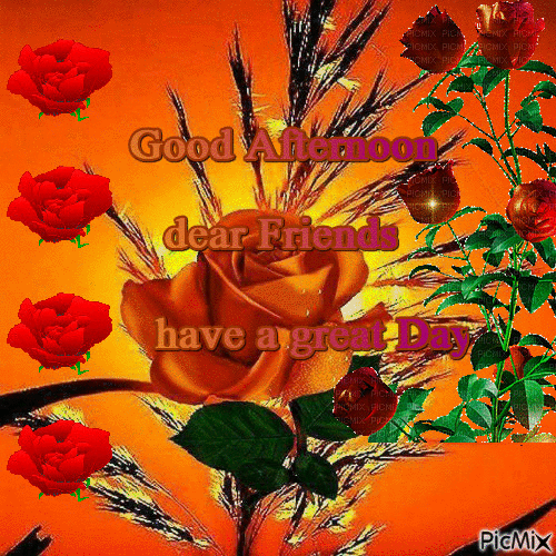 Dear Friends Have A Great Day Good Afternoon Pictures Photos And Images For Facebook Tumblr Pinterest And Twitter