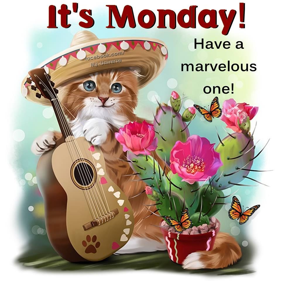 Marvelous Monday Pictures Photos And Images For Facebook Tumblr