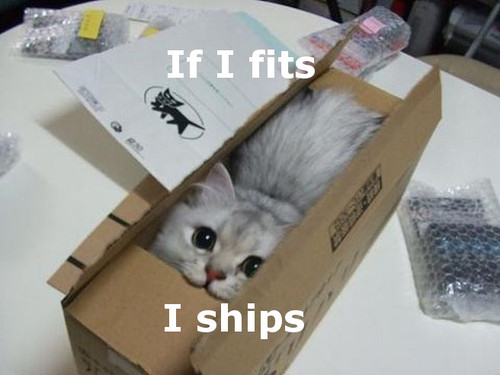 If it fits, i ships If it fits, i ships
