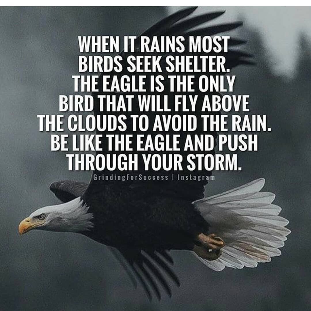 Be Like The Eagle And Push Through The Storm Pictures, Photos, and