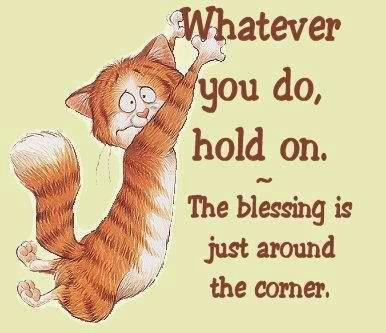 hold on hold on