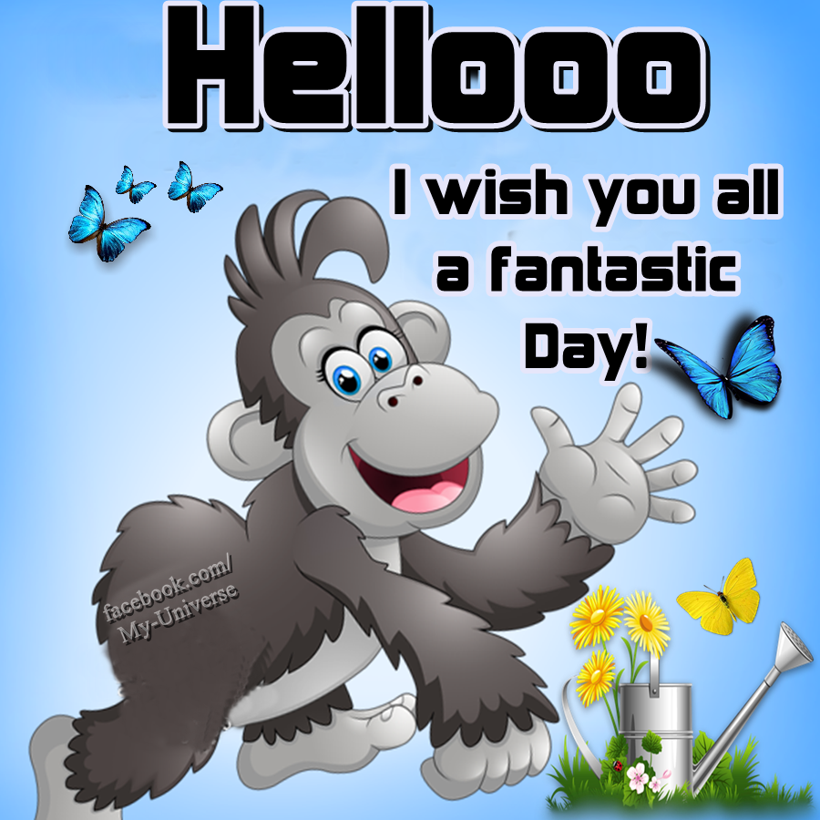 Hellooo I Wish You All A Fantastic Day Pictures Photos And Images