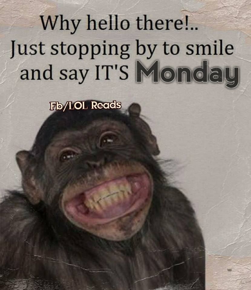 Stopping By To Smile And Say It's Monday Pictures, Photos, and Images for  Facebook, Tumblr, Pinterest, and Twitter, image size:830x960