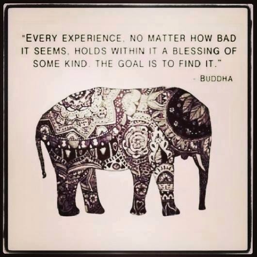 Every Experience....