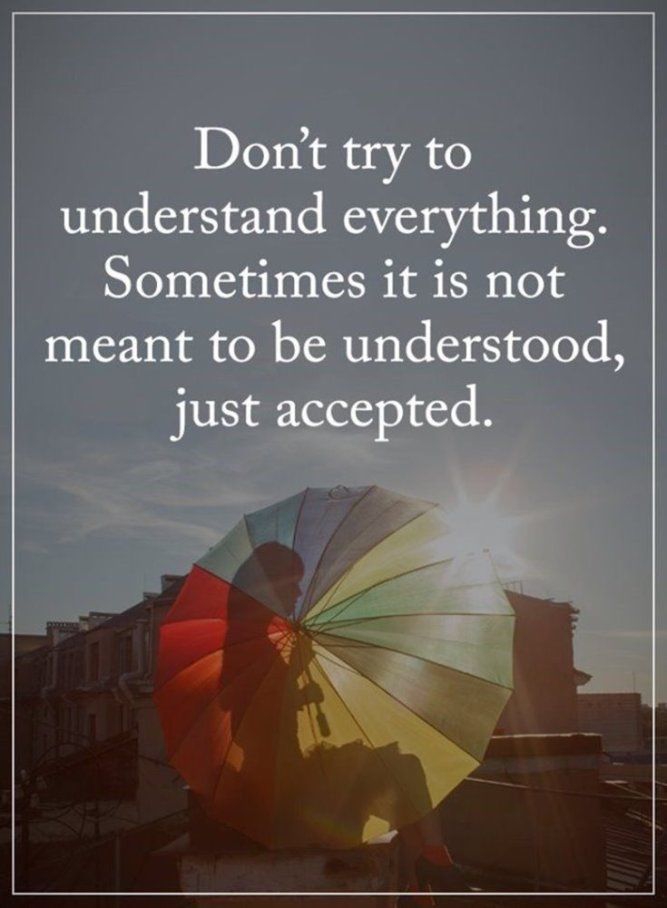 Don't Try To Understand Everything. Sometimes It Is Not Meant To Be