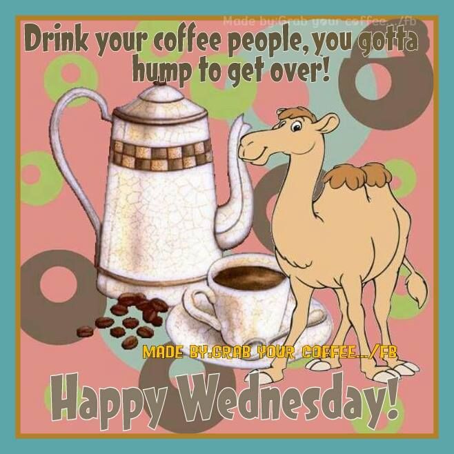 Drink Your Coffee People, You Gotta Hump To Get Over! Happy Wednesday