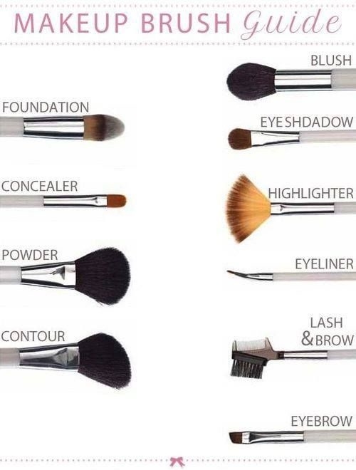 Makup Brush Guide