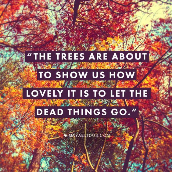 The Trees Are About To Show Us How Lovely It Is To Let The Dead Things ...