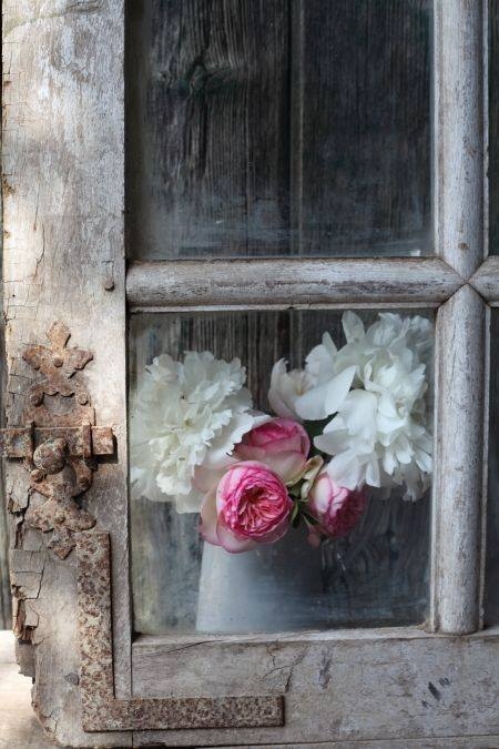 Pretty Flowers through an Old Window