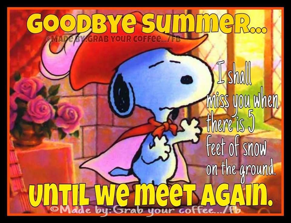 Goodbye Summer Memes