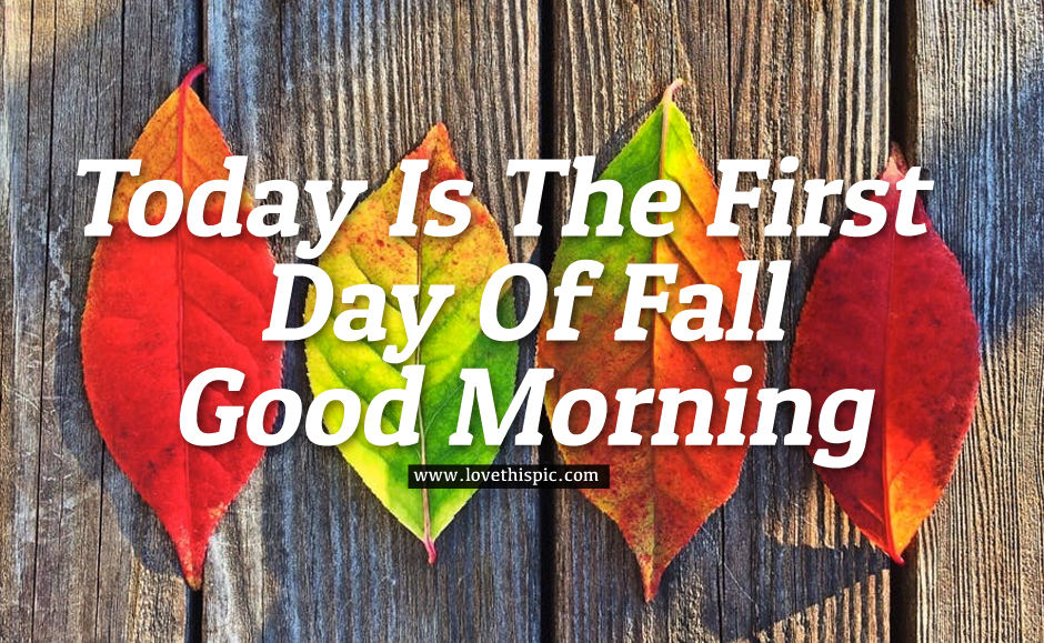 Happy 1st Day Of Fall Today Is The First Day Of Fall, Good Morning Pictures, Photos, And Images  For Facebook, Tumblr, Pinterest, And Twitter