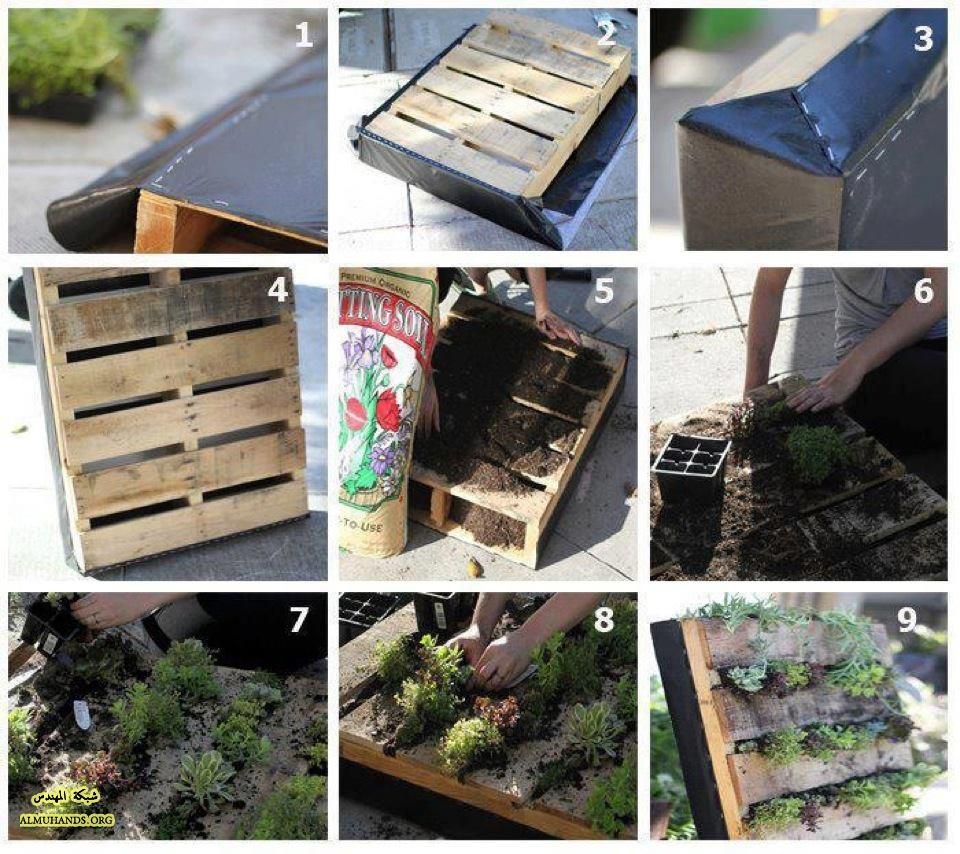 DIY Palette Garden