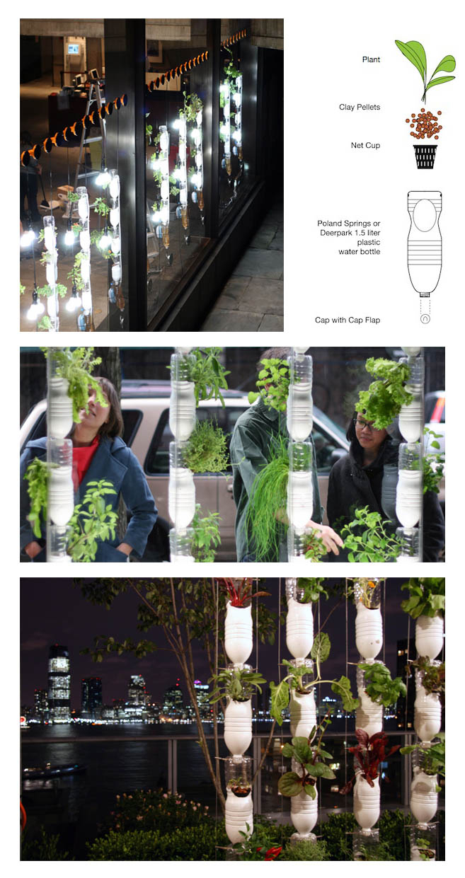 DIY Plastic Bottle Vertical Garden