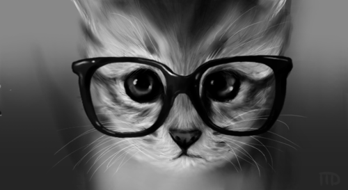 Nerdy cat