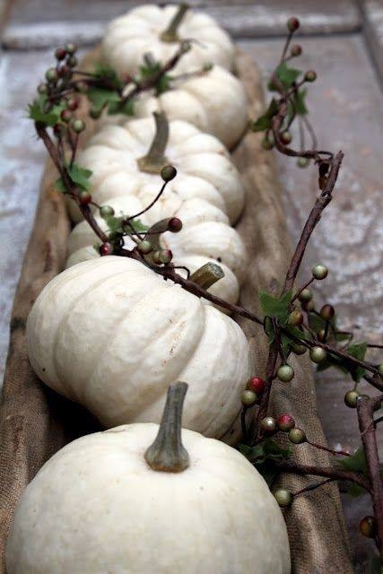 White Pumpkins as a Table Centerpiece White Pumpkins as a Table Centerpiece
