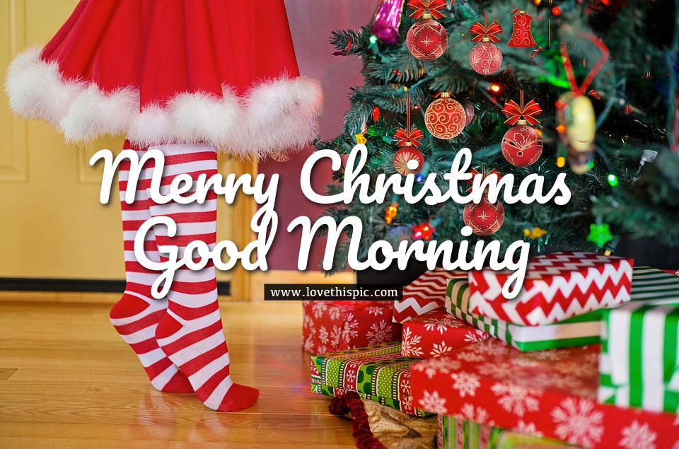 Christmas Tree Merry Christmas, Good Morning Image Pictures, Photos
