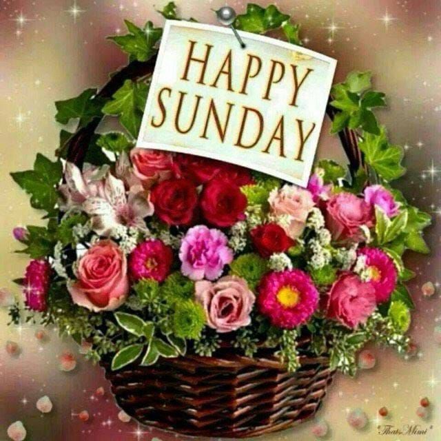 Floral Basket For A Happy Sunday Pictures, Photos, and Images for