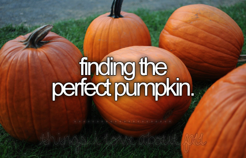 Finding the perfect Pumpkin Finding the perfect Pumpkin