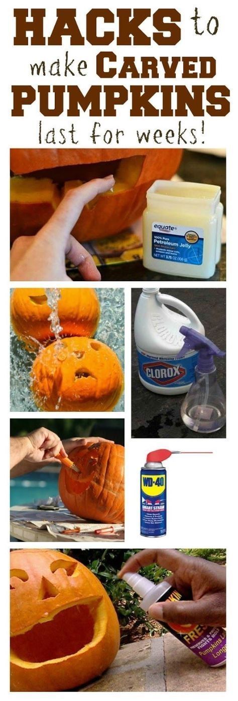How To Make Carved Pumpkins Last Pictures, Photos, and Images for Facebook, Tumblr, Pinterest ...