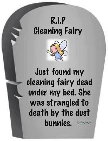 RIP Cleaning Fairy RIP Cleaning Fairy