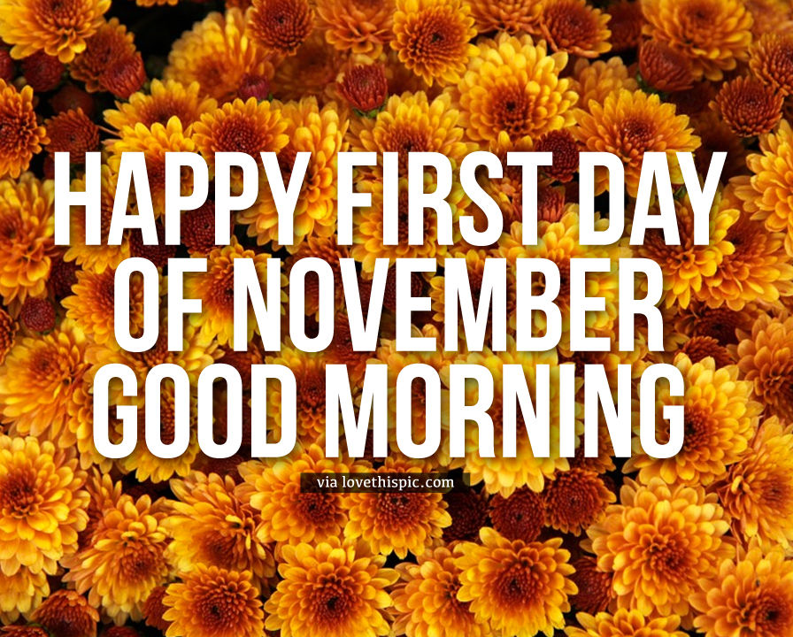 Chrysanthemum Happy First Day Of November Good Morning Quote Pictures