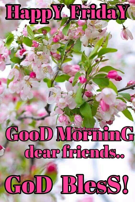 Floral Friday Blessing Quote Pictures, Photos, and Images for Facebook