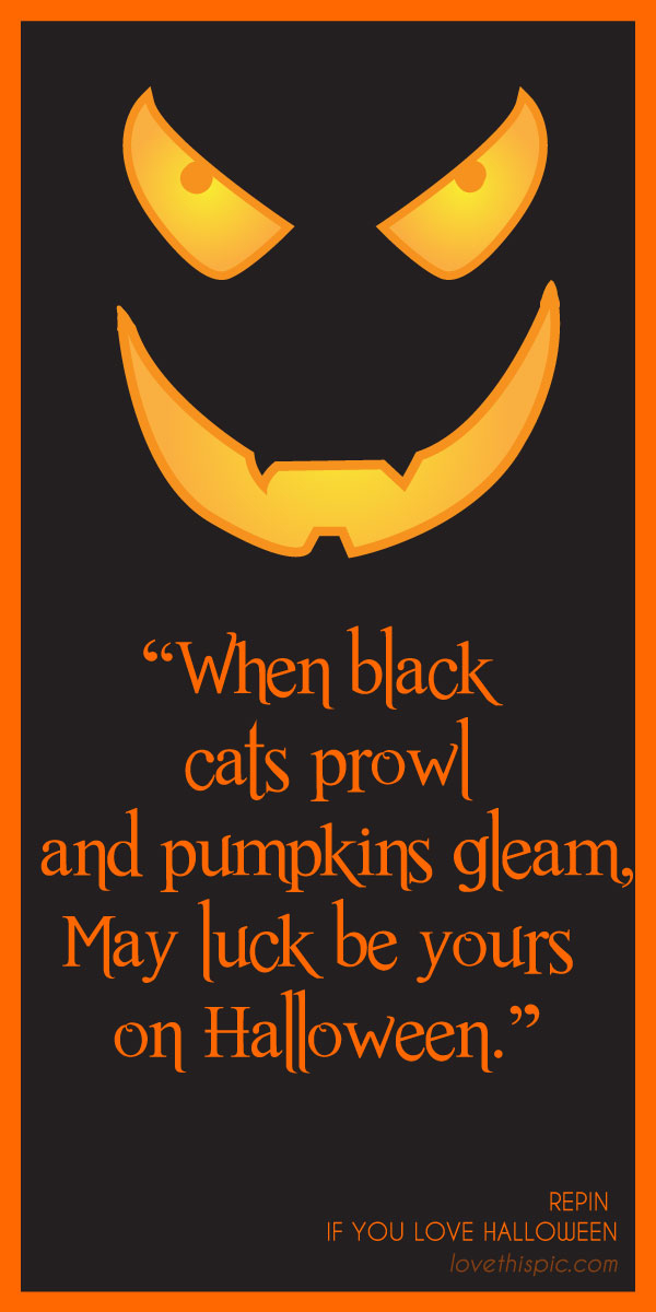 Pumpkin's Gleam Pumpkin's Gleam