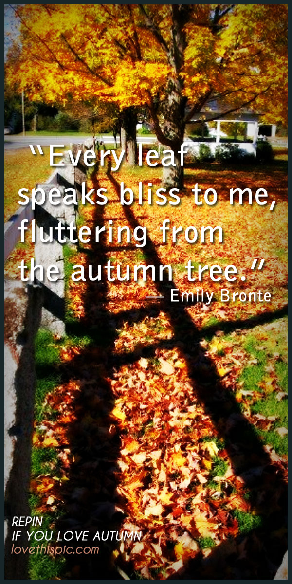 Every leaf
