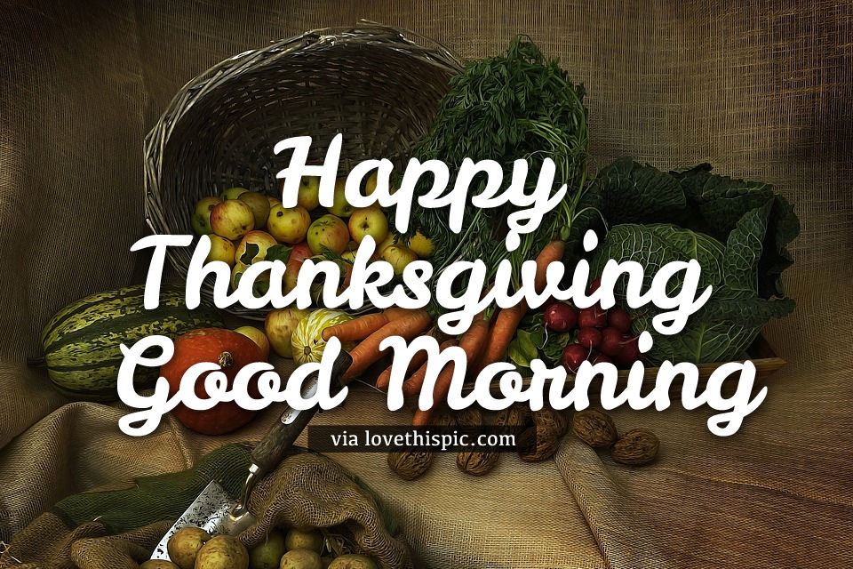 Harvest Happy Thanksgiving Good Morning Quote Pictures, Photos, and Images for Facebook, Tumblr
