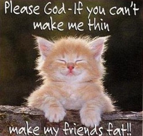 make my friends fat