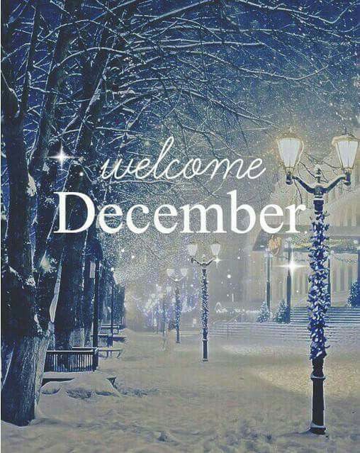 Winter Night December Quote Pictures, Photos, and Images for