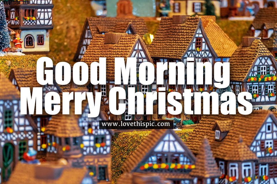 Christmas Motif Good Morning Merry Christmas Quote Pictures, Photos