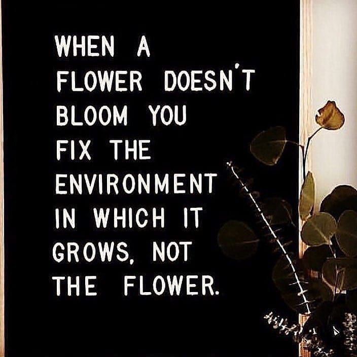 When A Flower Doesn't Bloom Pictures, Photos, and Images for Facebook