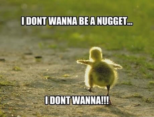 I dont wanna be a nugget I dont wanna be a nugget