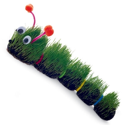 The very hairy caterpillar 