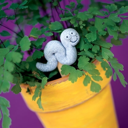 Plant Markers